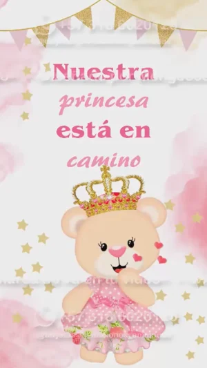 Video - Baby Shower Niña Osita Reina