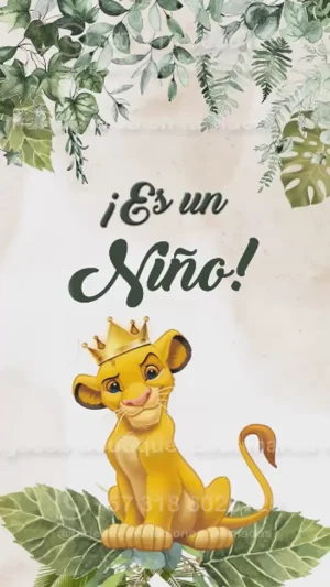 Video - Baby Shower Niño Rey Leon