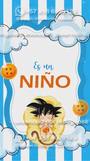 Video - Baby Shower Niño DragonBall