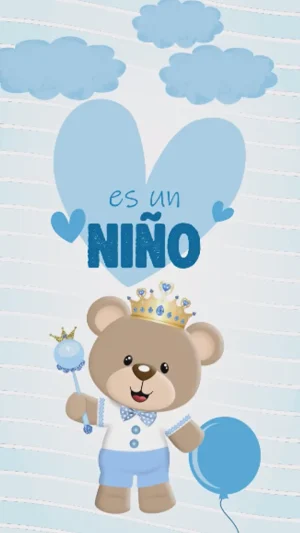 Video - Baby Shower Niño Osito