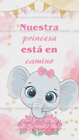 Video - Baby Shower Niña Elefantita